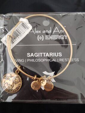 Alex and Ani Sagittarius Bracelet Bangle NWT 370